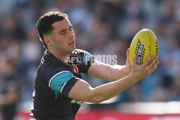 AFL 2025 Round 07 - Port Adelaide v North Melbourne - A-58979776