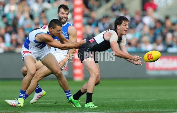 AFL 2025 Round 07 - Port Adelaide v North Melbourne - A-58979802