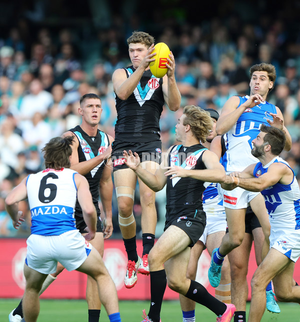 AFL 2025 Round 07 - Port Adelaide v North Melbourne - A-58979805