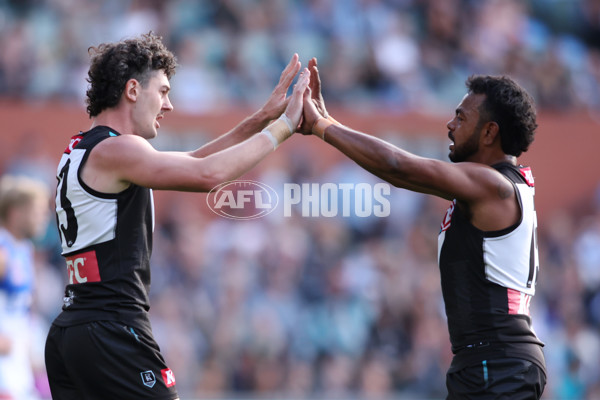 AFL 2025 Round 07 - Port Adelaide v North Melbourne - A-58982132
