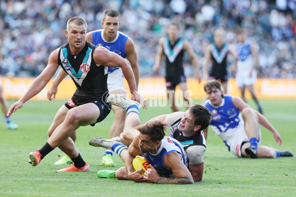 AFL 2025 Round 07 - Port Adelaide v North Melbourne - A-58982692