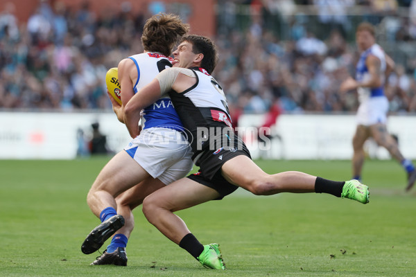AFL 2025 Round 07 - Port Adelaide v North Melbourne - A-58982766