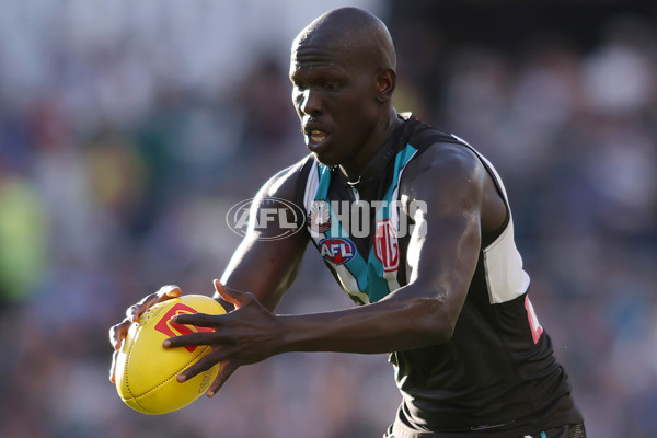 AFL 2025 Round 07 - Port Adelaide v North Melbourne - A-58982787