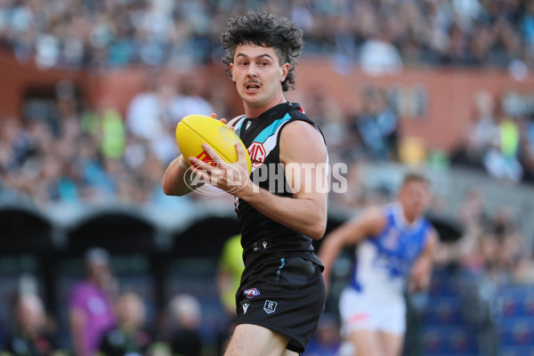 AFL 2025 Round 07 - Port Adelaide v North Melbourne - A-58984440