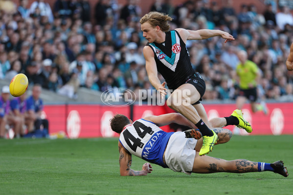 AFL 2025 Round 07 - Port Adelaide v North Melbourne - A-58984458