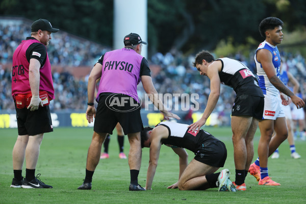 AFL 2025 Round 07 - Port Adelaide v North Melbourne - A-58985419