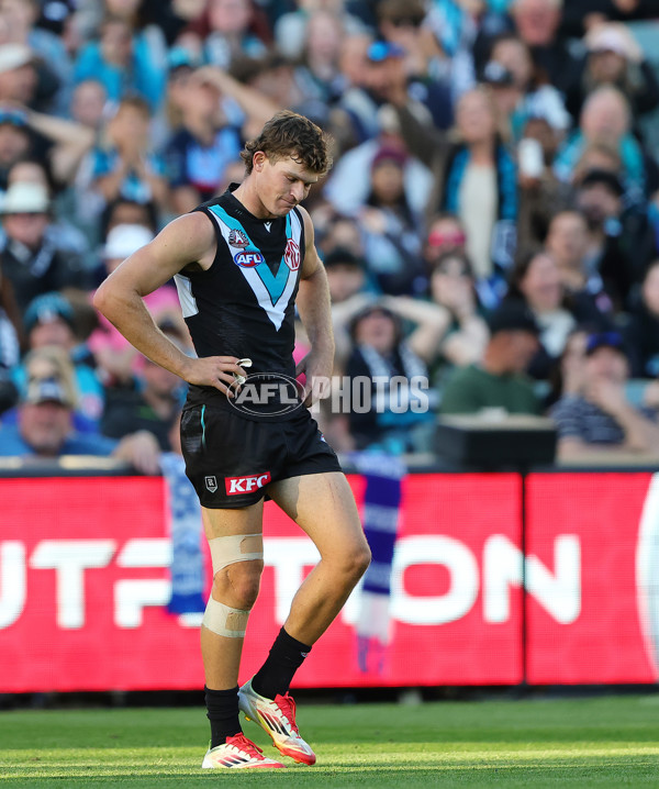 AFL 2025 Round 07 - Port Adelaide v North Melbourne - A-58986956