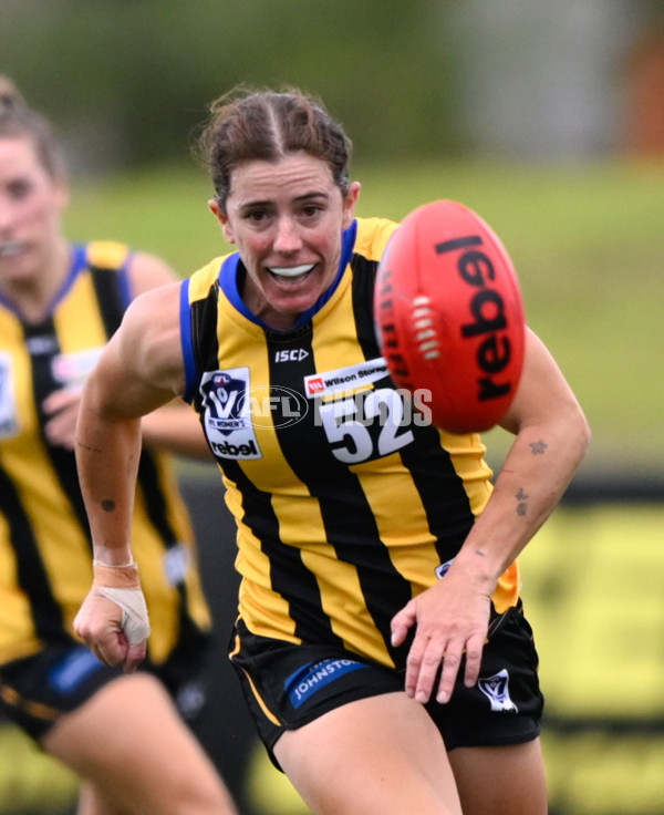 VFLW 2025 Round 02 - Sandringham v Casey - A-58986998