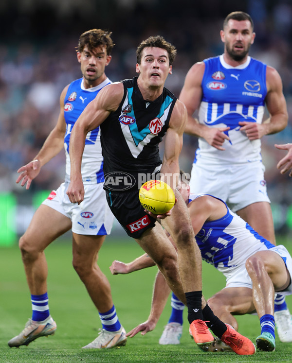 AFL 2025 Round 07 - Port Adelaide v North Melbourne - A-58988242