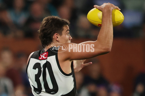 AFL 2025 Round 07 - Port Adelaide v North Melbourne - A-58988285