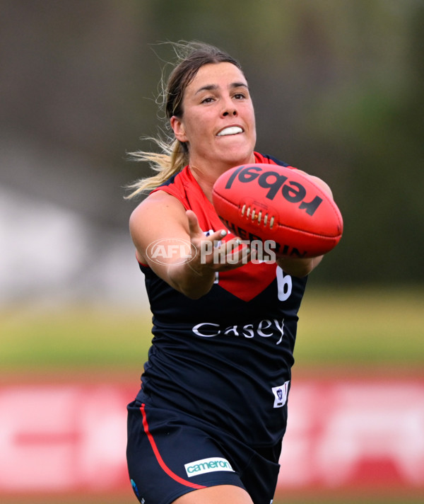 VFLW 2025 Round 02 - Sandringham v Casey - A-58988291