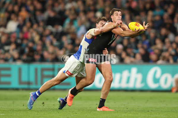 AFL 2025 Round 07 - Port Adelaide v North Melbourne - A-58988333