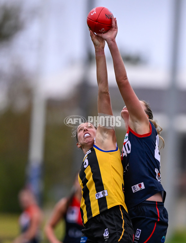 VFLW 2025 Round 02 - Sandringham v Casey - A-58995346