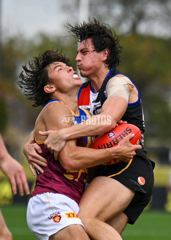VFL 2025 Round 05 - Sandringham v Brisbane - A-58996768
