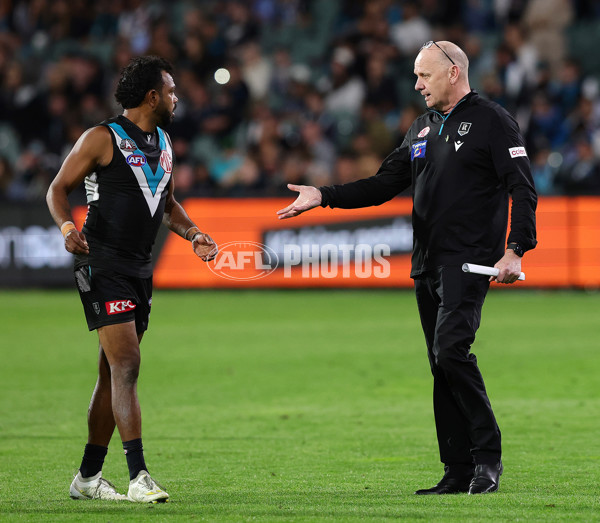 AFL 2025 Round 07 - Port Adelaide v North Melbourne - A-58996802