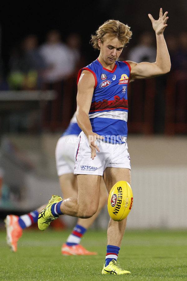 AFL 2025 Round 07 - GWS v Western Bulldogs - A-58997992