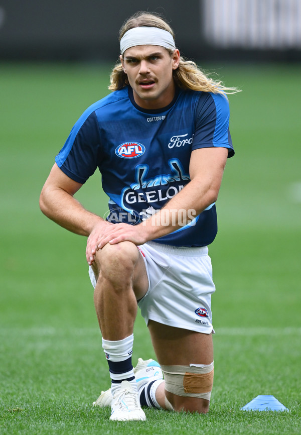 AFL 2025 Round 07 - Carlton v Geelong - A-59010961