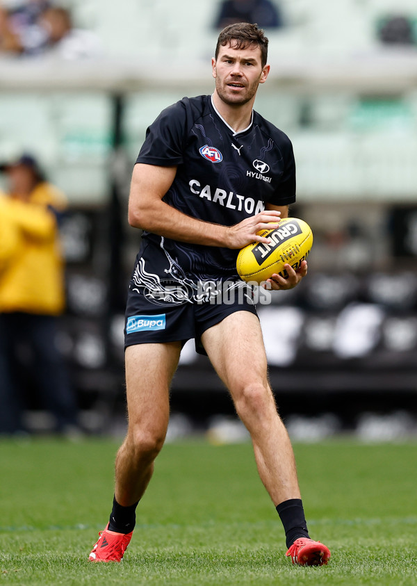 AFL 2025 Round 07 - Carlton v Geelong - A-59013755