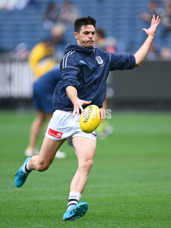 AFL 2025 Round 07 - Carlton v Geelong - A-59013777
