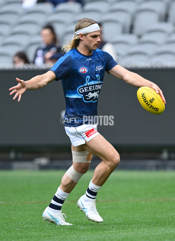 AFL 2025 Round 07 - Carlton v Geelong - A-59015416