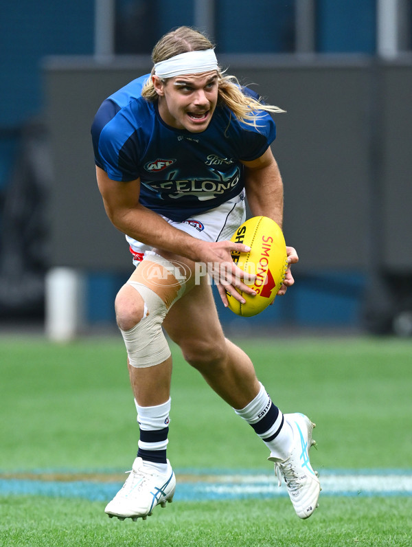 AFL 2025 Round 07 - Carlton v Geelong - A-59015418