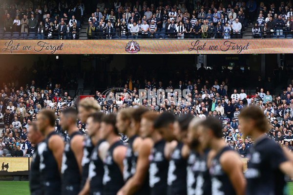 AFL 2025 Round 07 - Carlton v Geelong - A-59015484