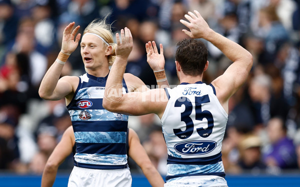 AFL 2025 Round 07 - Carlton v Geelong - A-59016294