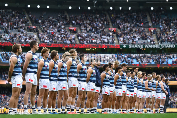 AFL 2025 Round 07 - Carlton v Geelong - A-59017939