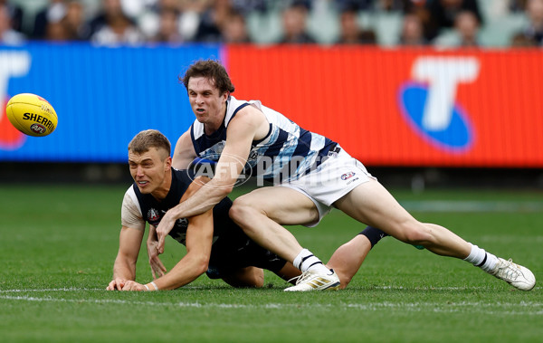 AFL 2025 Round 07 - Carlton v Geelong - A-59018981