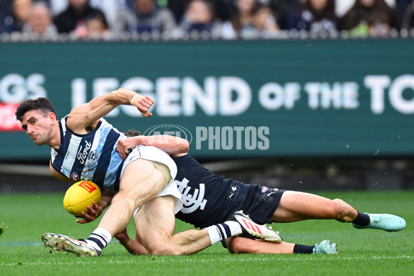 AFL 2025 Round 07 - Carlton v Geelong - A-59018985