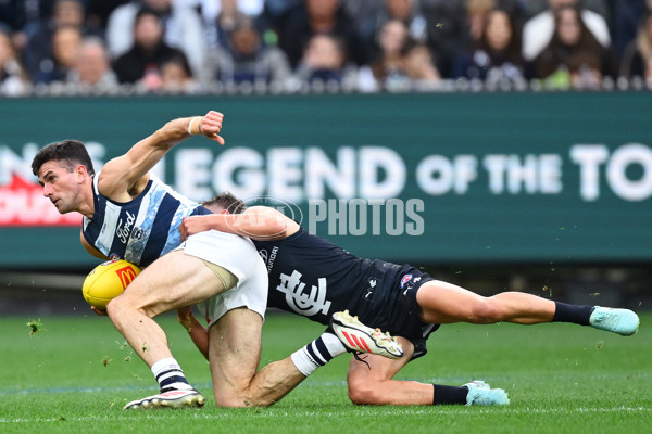 AFL 2025 Round 07 - Carlton v Geelong - A-59018986