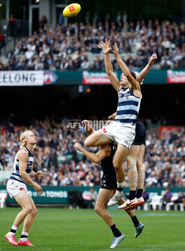 AFL 2025 Round 07 - Carlton v Geelong - A-59019024