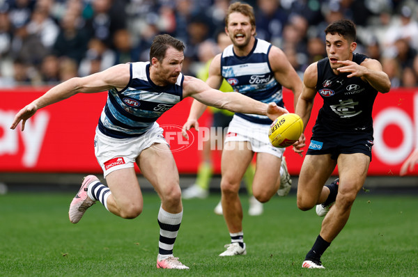 AFL 2025 Round 07 - Carlton v Geelong - A-59019025