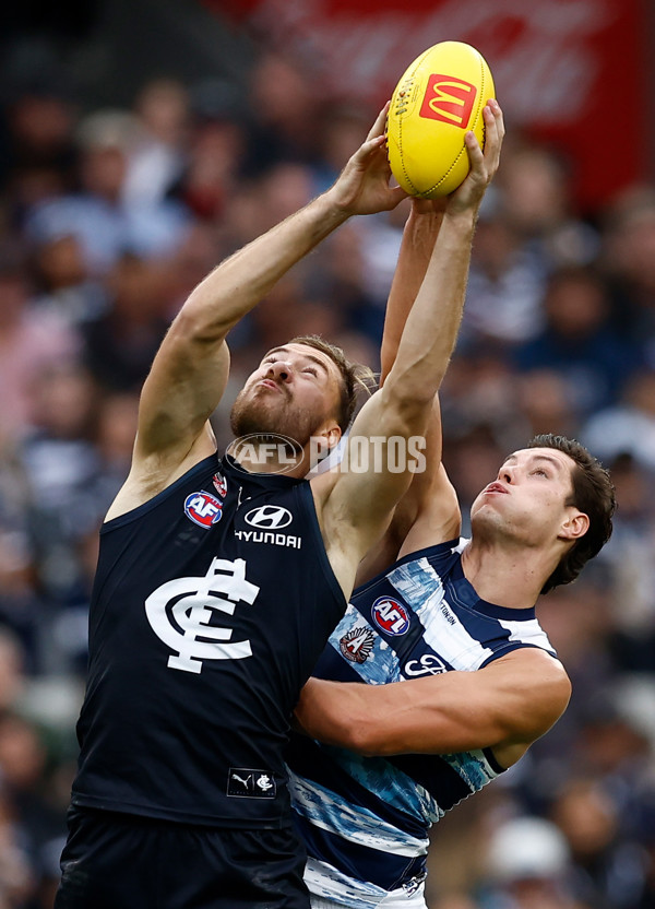 AFL 2025 Round 07 - Carlton v Geelong - A-59019042