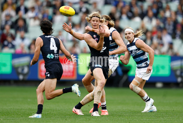 AFL 2025 Round 07 - Carlton v Geelong - A-59019044