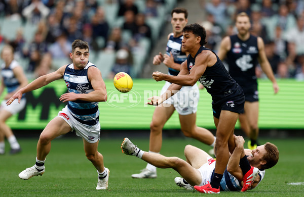 AFL 2025 Round 07 - Carlton v Geelong - A-59019045