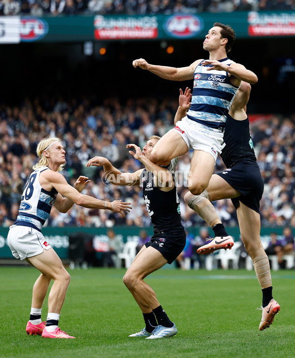 AFL 2025 Round 07 - Carlton v Geelong - A-59020577