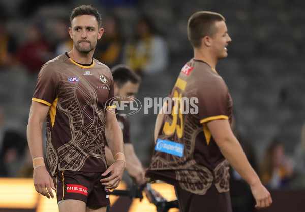 AFL 2025 Round 07 - Hawthorn v West Coast - A-59020621