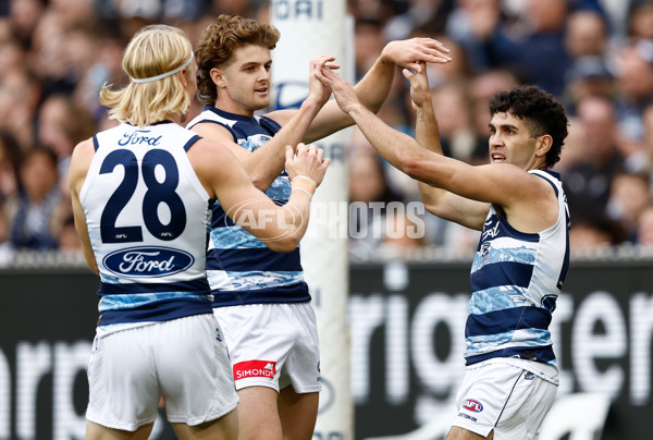 AFL 2025 Round 07 - Carlton v Geelong - A-59021577