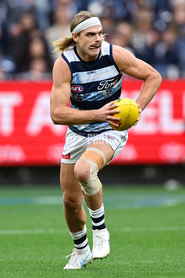 AFL 2025 Round 07 - Carlton v Geelong - A-59021583