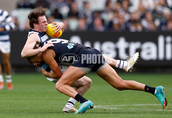 AFL 2025 Round 07 - Carlton v Geelong - A-59021638