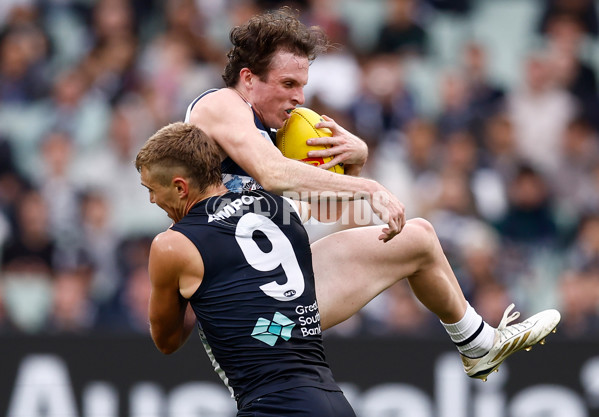 AFL 2025 Round 07 - Carlton v Geelong - A-59021640