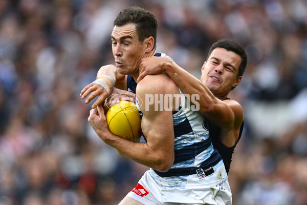 AFL 2025 Round 07 - Carlton v Geelong - A-59023134