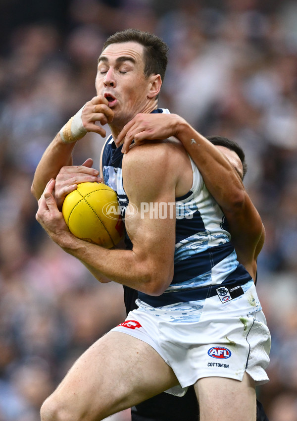 AFL 2025 Round 07 - Carlton v Geelong - A-59024211