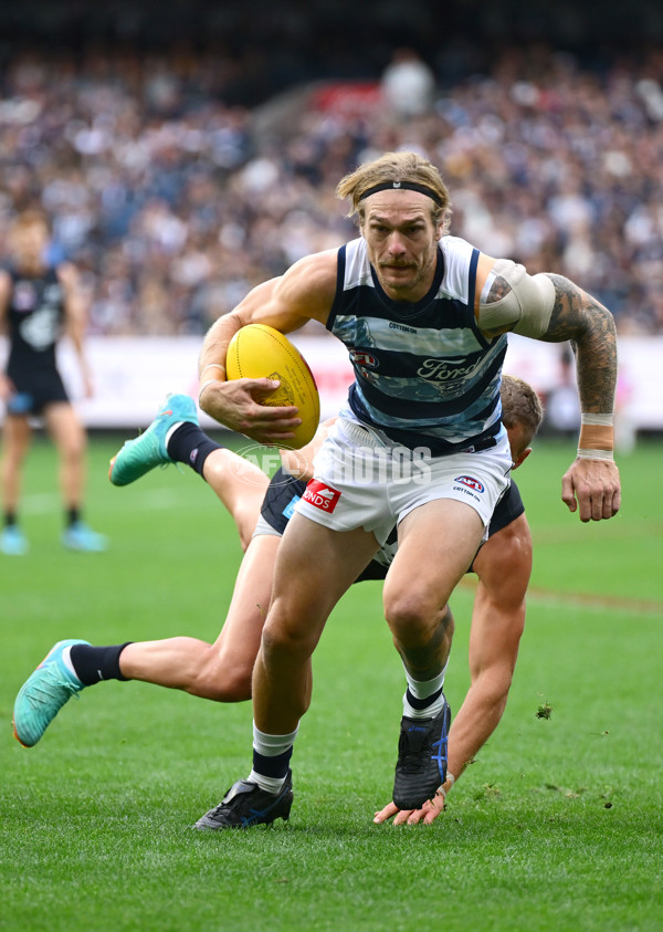 AFL 2025 Round 07 - Carlton v Geelong - A-59024242