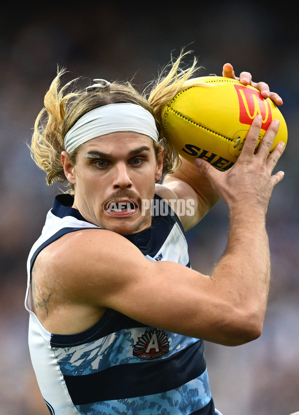 AFL 2025 Round 07 - Carlton v Geelong - A-59024276