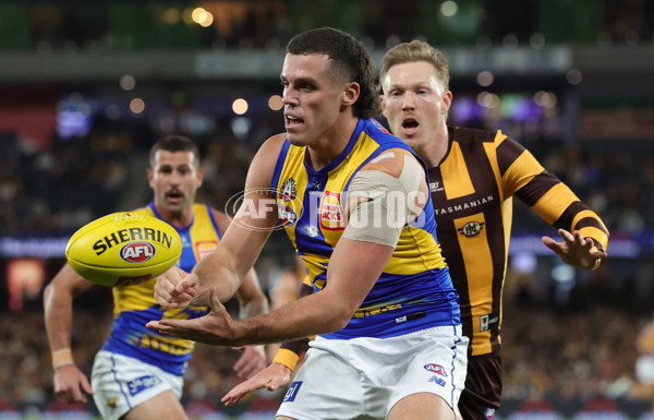AFL 2025 Round 07 - Hawthorn v West Coast - A-59024277