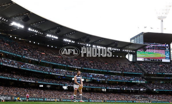AFL 2025 Round 07 - Carlton v Geelong - A-59024279