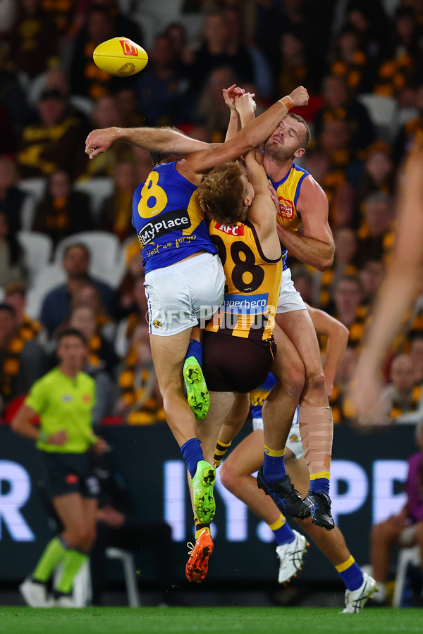 AFL 2025 Round 07 - Hawthorn v West Coast - A-59024295