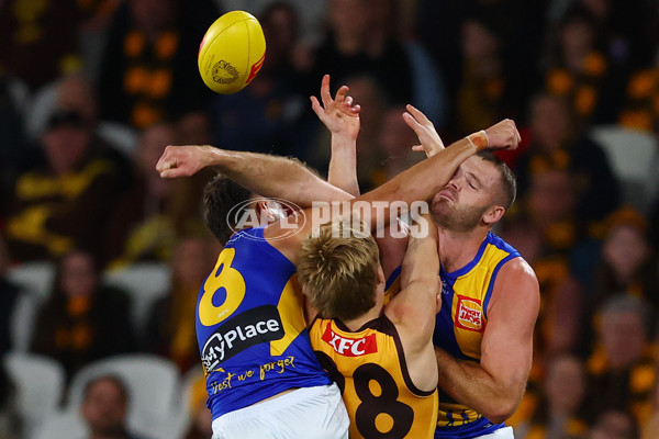 AFL 2025 Round 07 - Hawthorn v West Coast - A-59024296